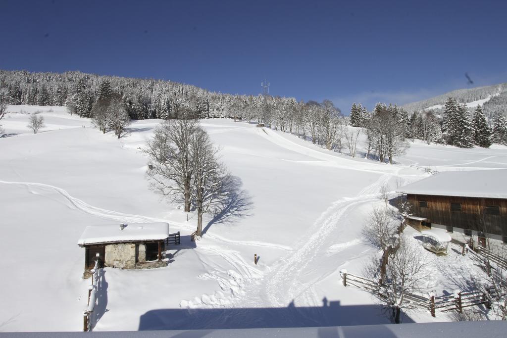 Apartmán Eberharthof Saalbach-Hinterglemm Exteriér fotografie